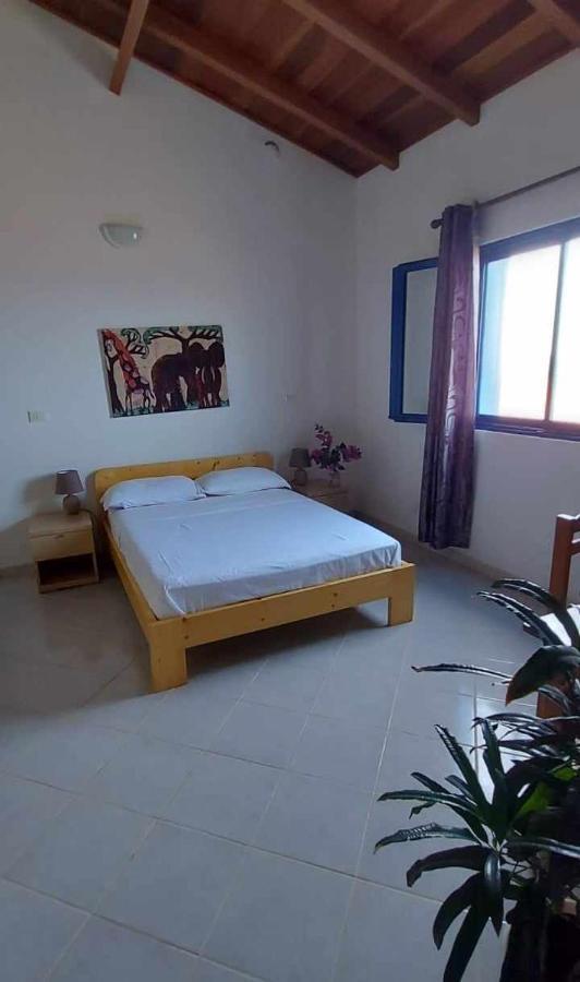 מלון Palmeira Casa Torre מראה חיצוני תמונה