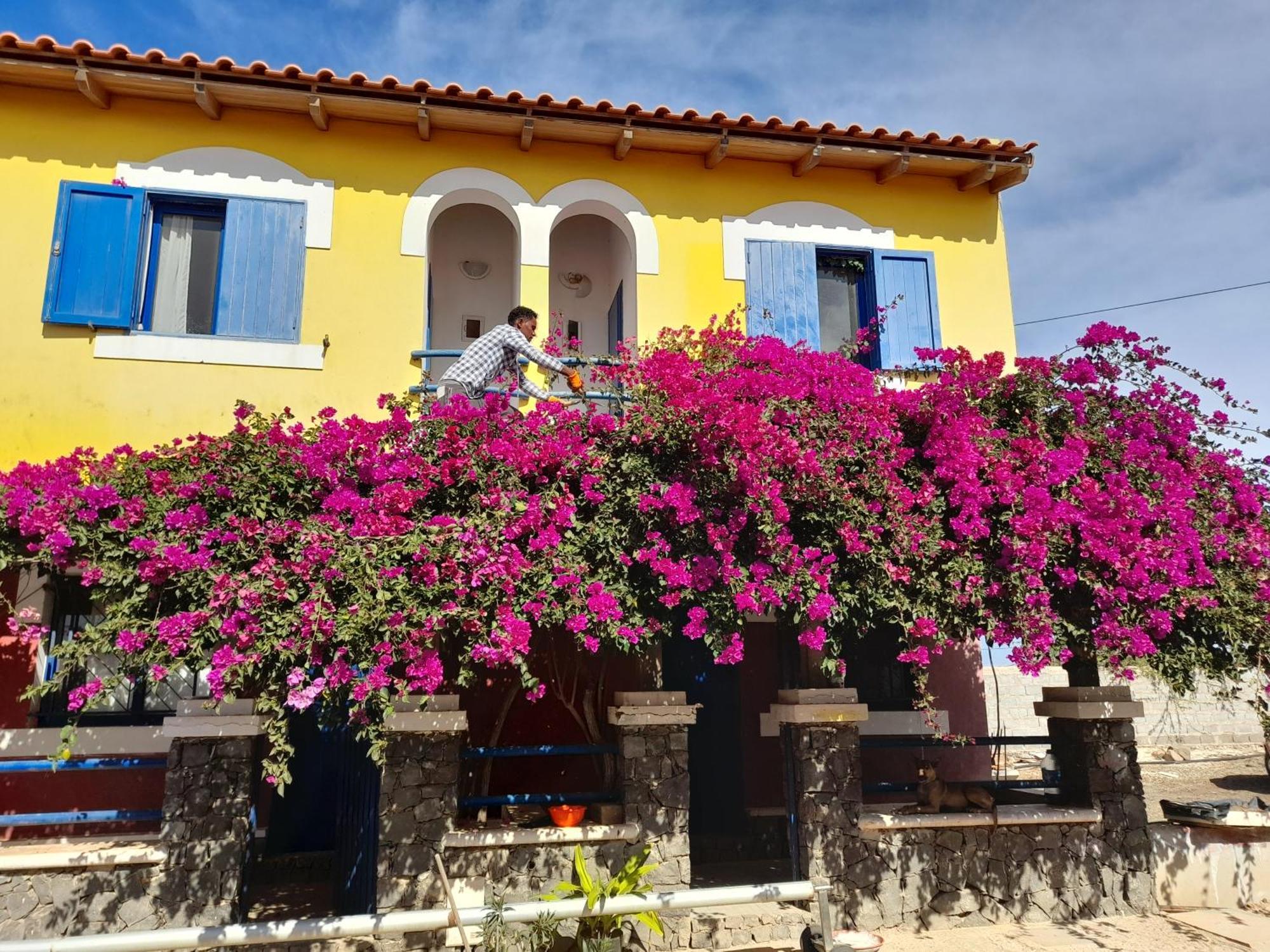 מלון Palmeira Casa Torre מראה חיצוני תמונה