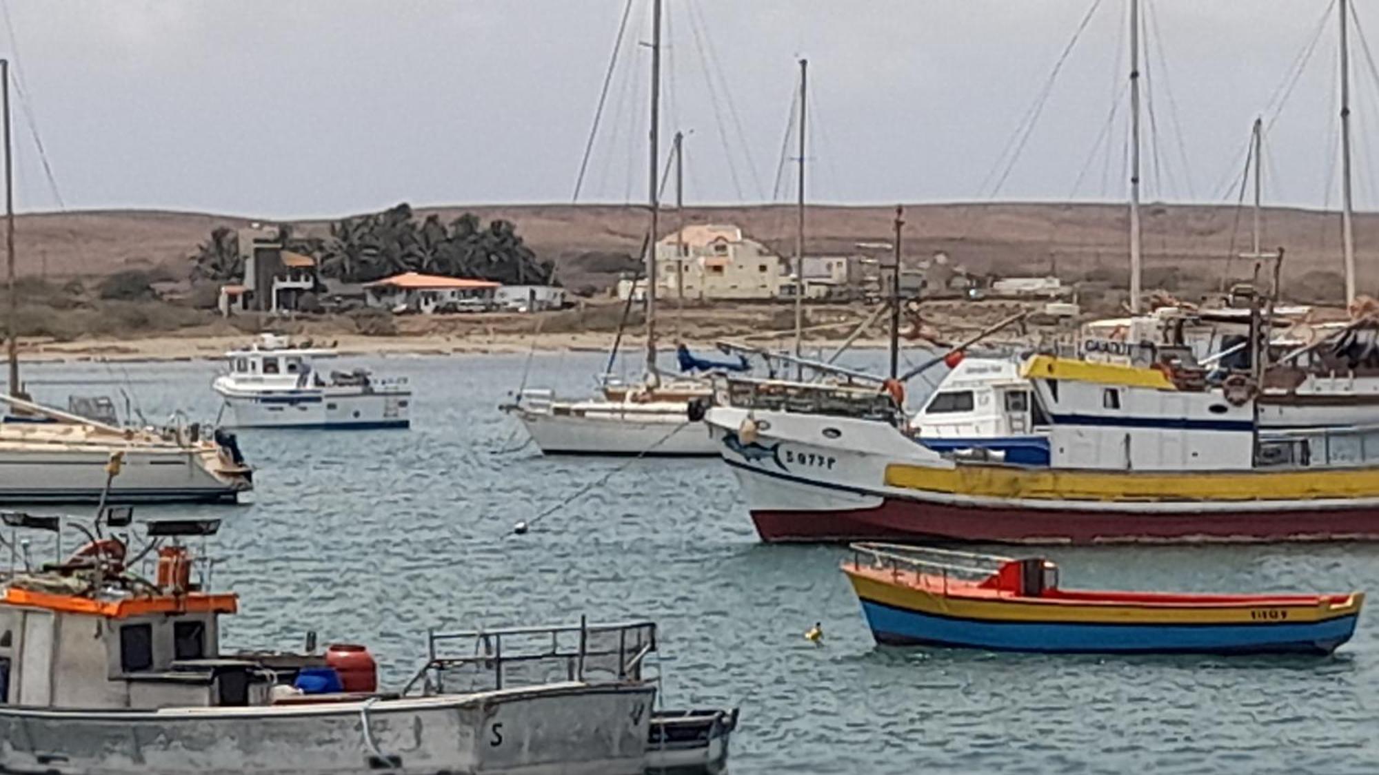 מלון Palmeira Casa Torre מראה חיצוני תמונה